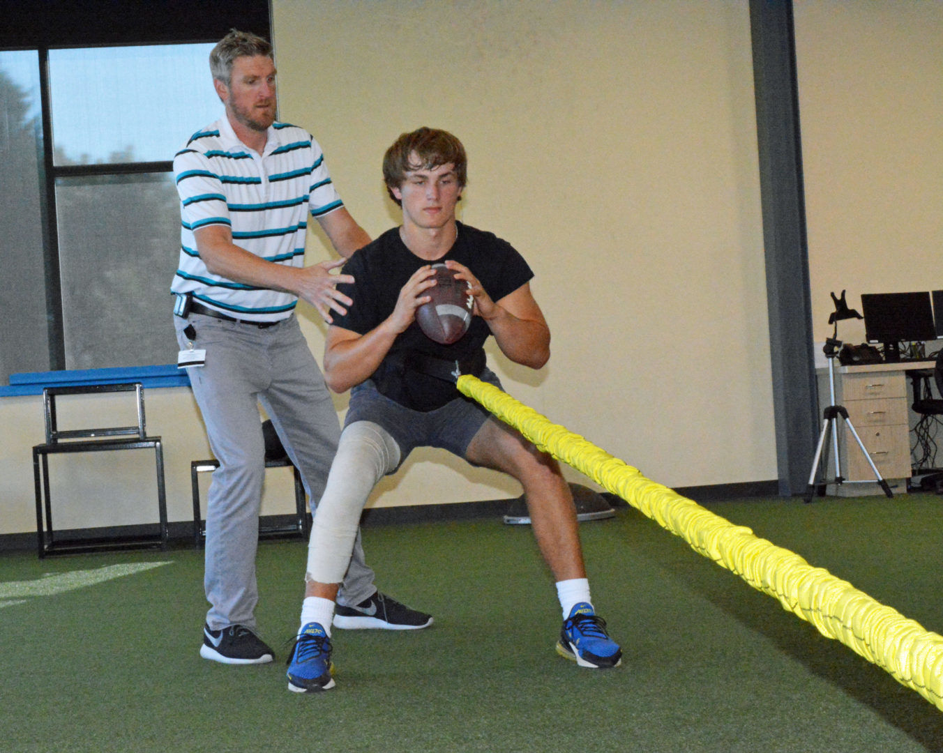 Stability training